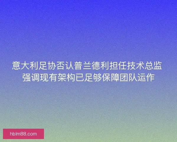 意大利足协否认普兰德利担任技术总监 强调现有架构已足够保障团队运作